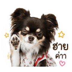 Chaitow002