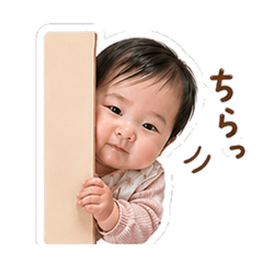shiO_20260501084423
