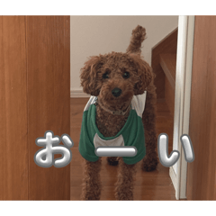 Aya_20260501092255