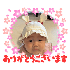 kaho_20260501085001