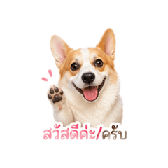 Teddy_20260430154944
