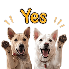 Jeng & Snow: Playful Doggy Days