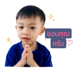 bobee2541
