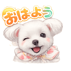 Komaru_20260501103051