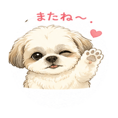 makura_20260501104335