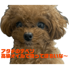 rirulupi_20260501104655