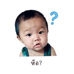 peet_20260428092834