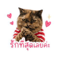 Tuadin,whisky_20260428092919