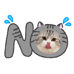 Fluffy_20260429184727