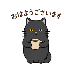 uni blackcat