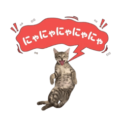 TAKUMA_K