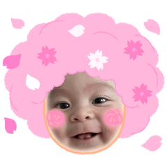 masa_20260501110701