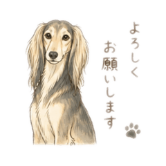 Arinosuke_20260501105638
