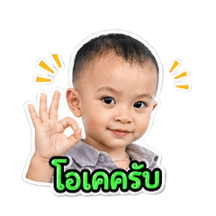 wut_20260428091900