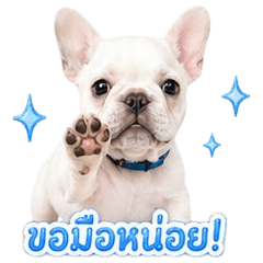 MeeBoon Cute is happy and having fun