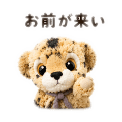 Golden Retriever_20260501113437