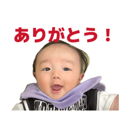 ioripapa_20260425224521