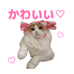 mero_20260501120617