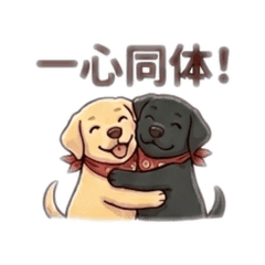 panther_20260501121257