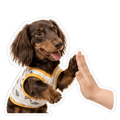 duchessthesausage
