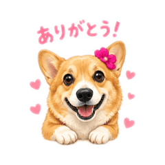 KINAKORORIN_20260501123154