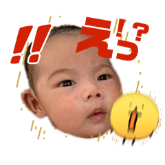 Saki_20260501124123
