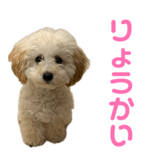 Yuzuka_20260501125013