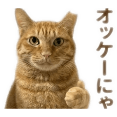 SHOJI_20260501125616