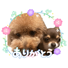 mei_20260501125224
