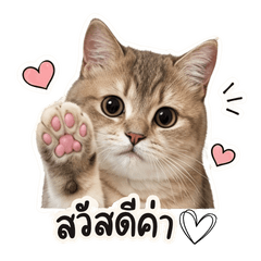 Supmiso