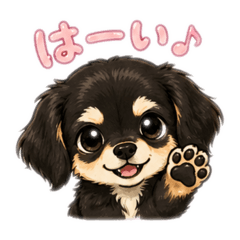 Mayu.E_20260501125743