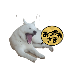YUKI_20260501131748