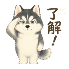 mash_20260501174702