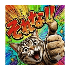 Sorena! Cat