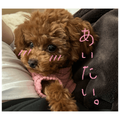 RUU_20260501175626