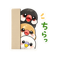 Piroshi_20260501131626