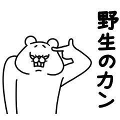 全力くま一生使える編