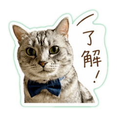 paruparu_20260501132015