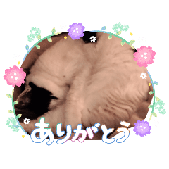 octto_20260501133830