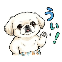 hana_20260501135012