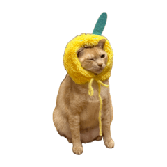 我是海超人
