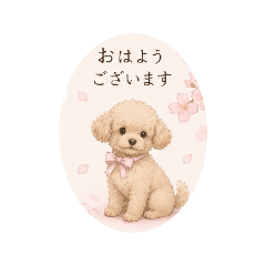 mamemame_20260501