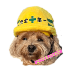 gab_20260501135006