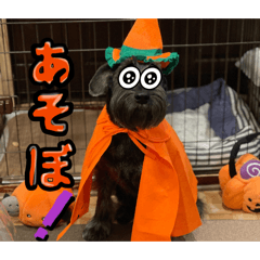 haruto_20260501134635