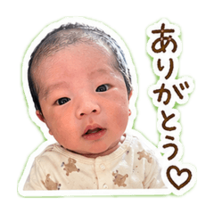 risa_2026
