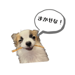 pen2_20260501162757