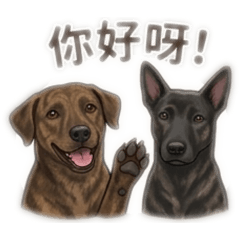 蛋是布行