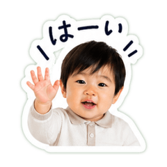 mopi_20260501121916