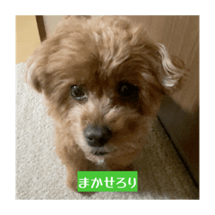 kszk_20260501162721