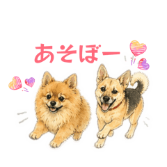 mugimugi_20260501164326
